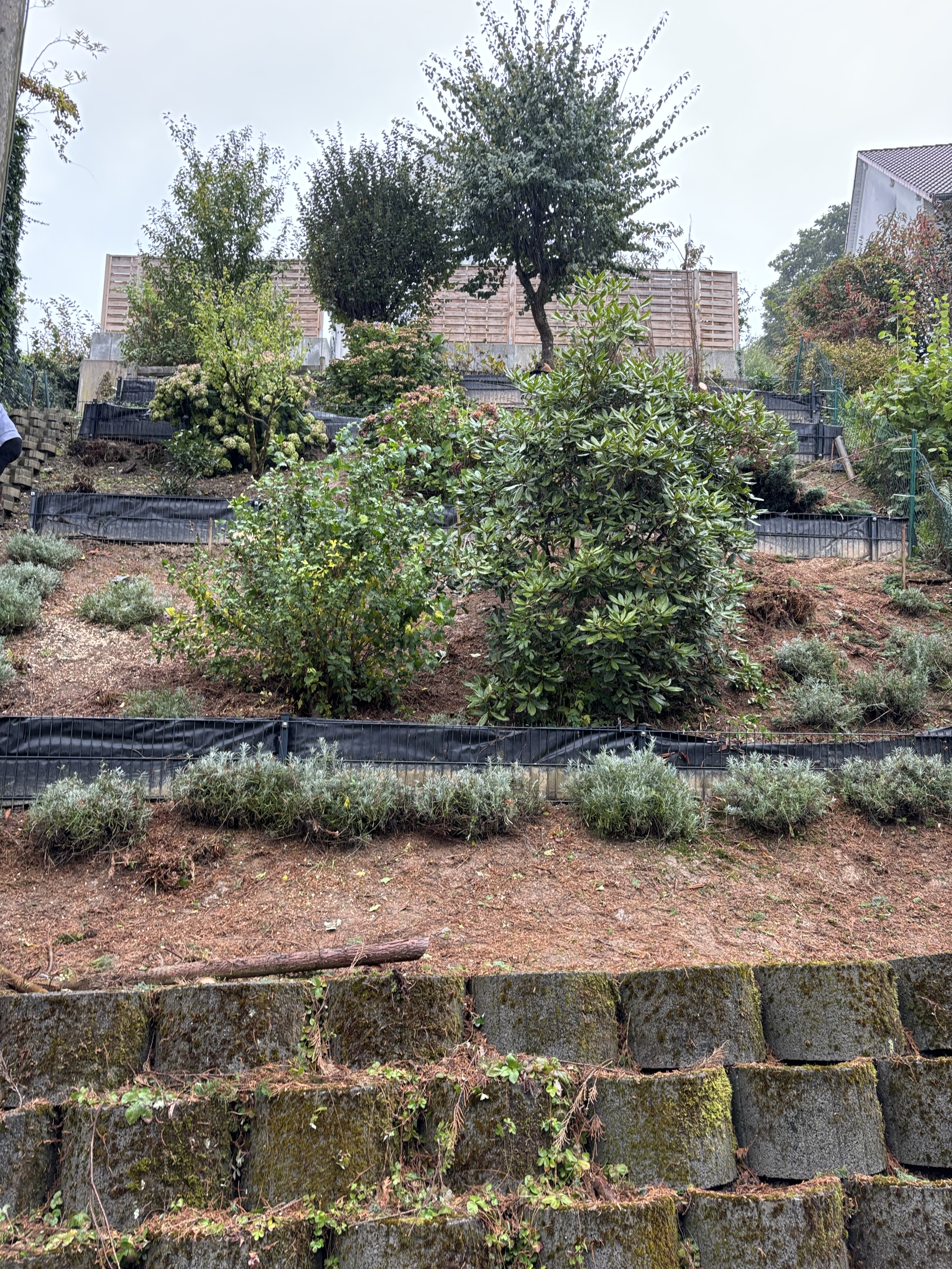Moderne Terrasse mit Holz und Grün