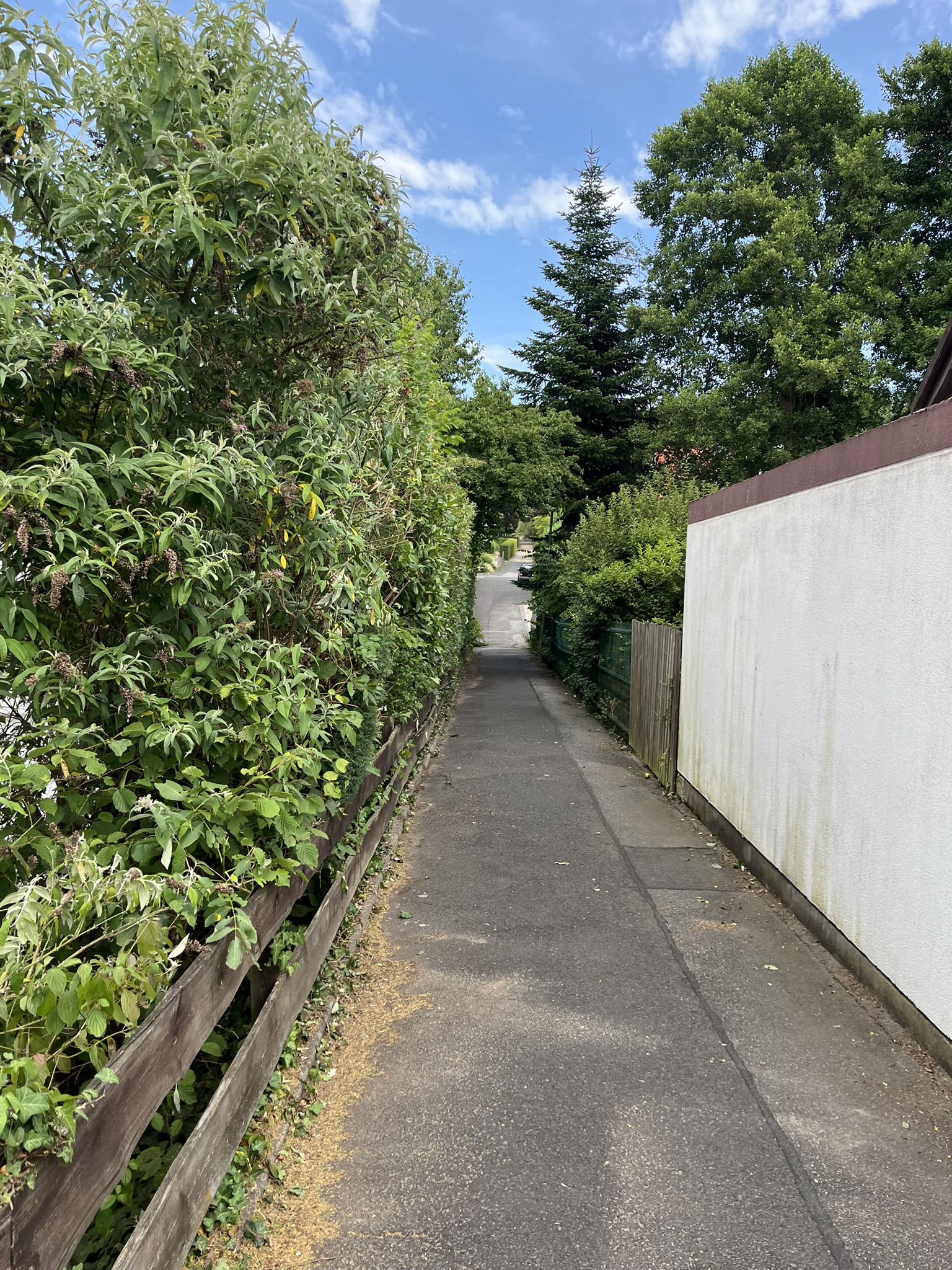 Blühende Staudenbeete